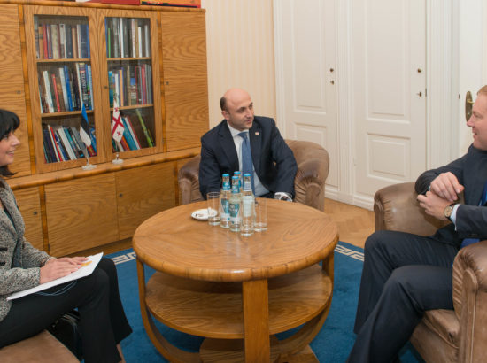 Väliskomisjoni esimees Marko Mihkelson kohtub Georgia asekaitseministri Mikheil Darchiashviliga